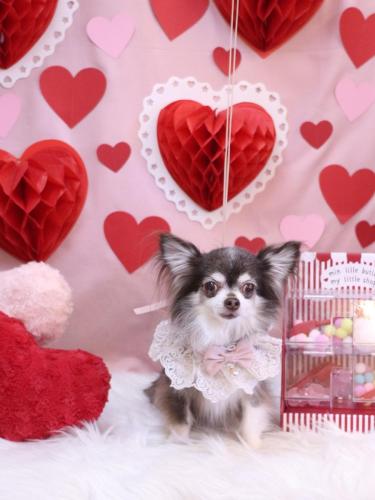 20240228空太くん